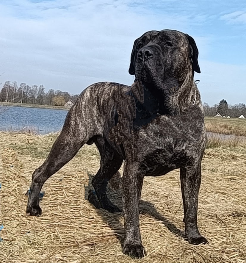 Deze afbeelding heeft een leeg alt-attribuut; de bestandsnaam is IMG_20240113_195453.jpg